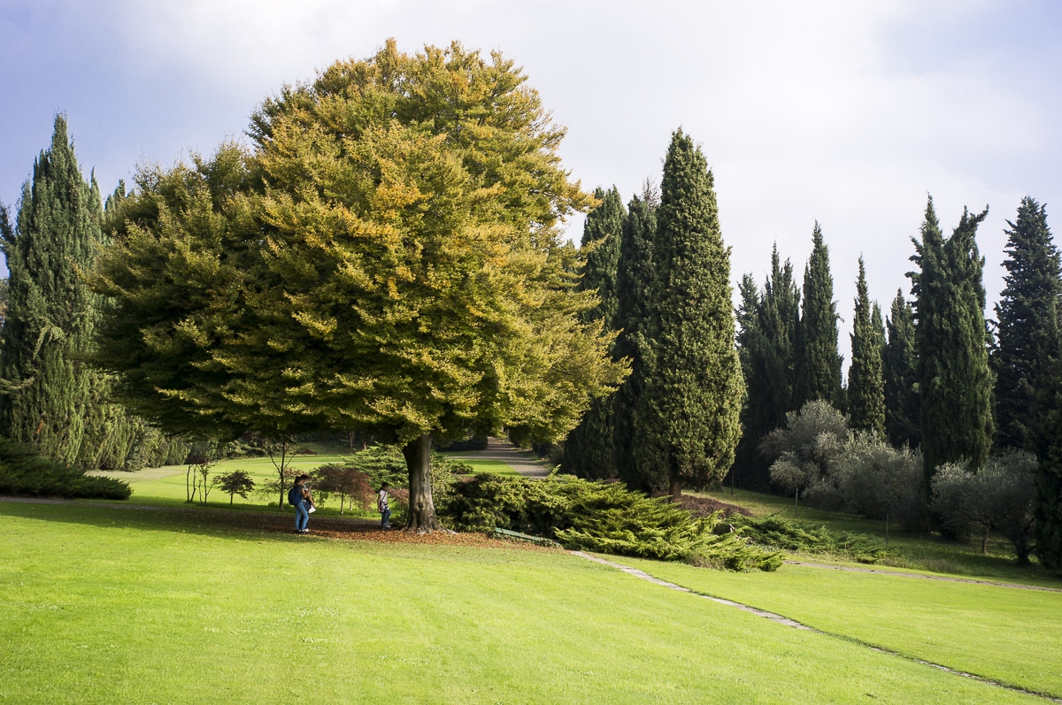 Parco Sigurtà