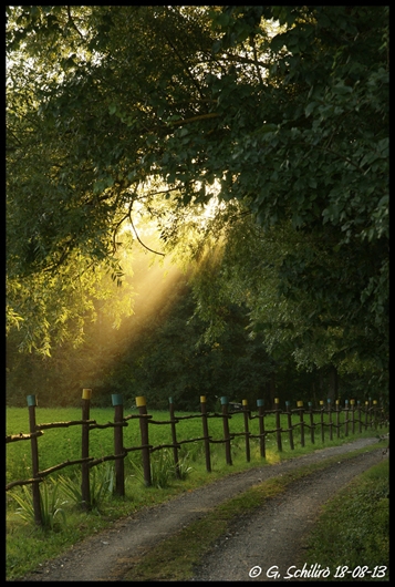 Sul vialetto del tramonto!